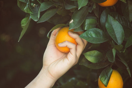Be more picky: Why work with people you don’t want to work with?