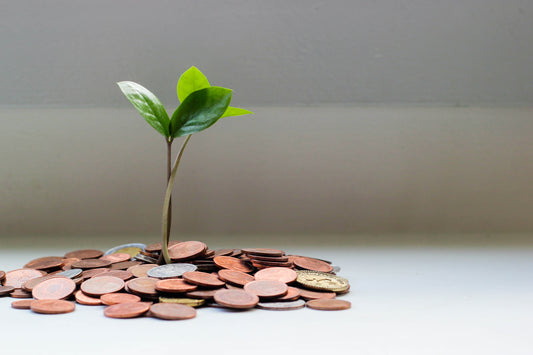 Getting set for growth: basic foundations
